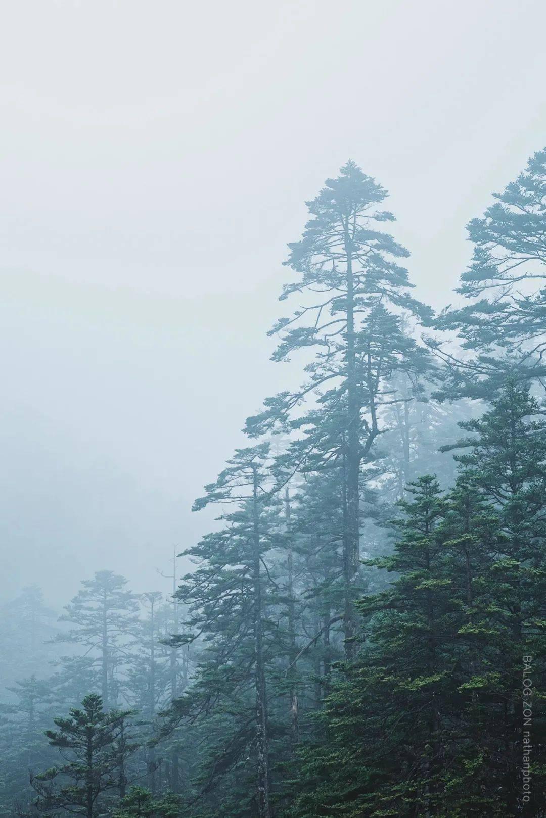 火拼萌萌消