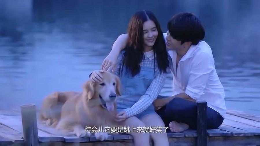 新熊出没找不同